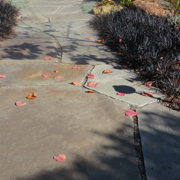 Landscape/Hardscape, Albany, CA