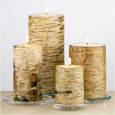 Contemporary Candles by Cost Plus World Market