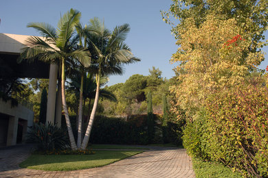 Design ideas for a contemporary landscaping in Other.