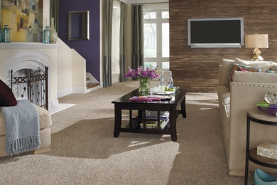 Transitional family room photo in Bridgeport