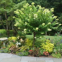 Landscaping Ideas
