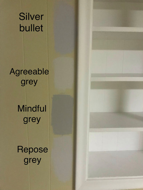 Which Grey Paint For Basement