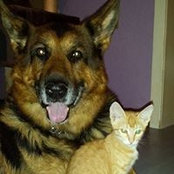 Marion Wollering's photo