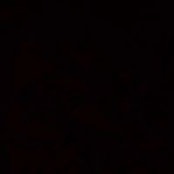 Duane Diehl's photo