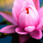 Ann Faranda's photo