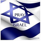 Ann Snider's photo