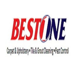 Best 1 Cleaning and Pest Control