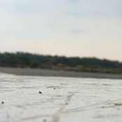 David Arenas's photo
