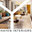 Hayen Interiors