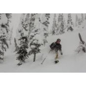 Joey Blalock's photo