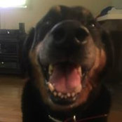 Patti Rodgers's photo