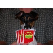 Steve Dreher's photo