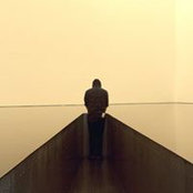 Andrew Wang's photo