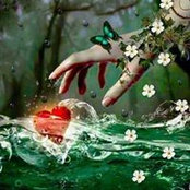 Irish Flower's photo