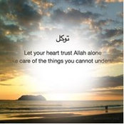 Photo de Fatima Majdy