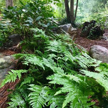 Log Haven