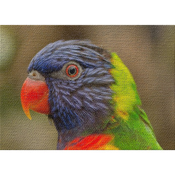 Colorful Parrot Close Up Area Rug, 5'0"x7'0"