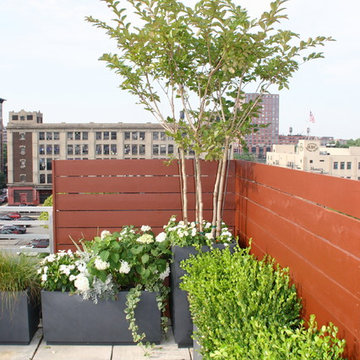 Hoboken Rooftop Garden