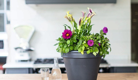 This Week on Houzz: Guess Which Affordable Accessory Makes You Smile?