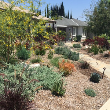 Sunny Encino Yard and Driveway