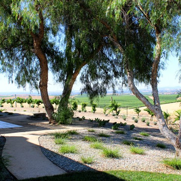 Southwestern Wine Country