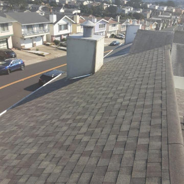 Roof with Skylights
