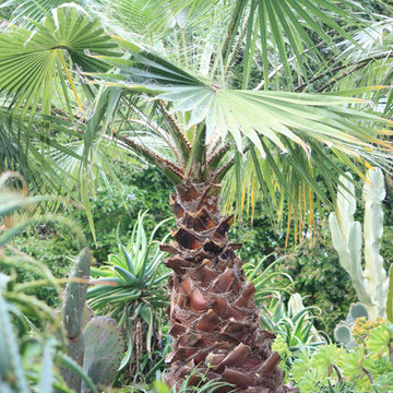 Mediterranean Landscape Design, French Riviera