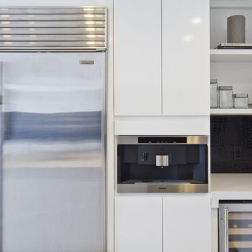 Century City Modern Kitchen