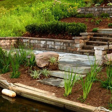 Landscape Ideas