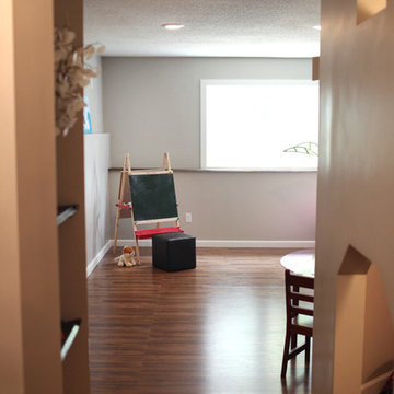 Basement Remodel