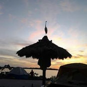 Foto von Kim Marcoux