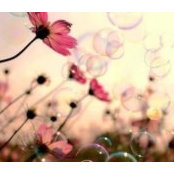 Vivian Heep's photo