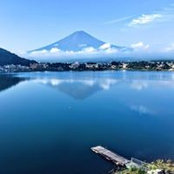 Liqing Huang's photo