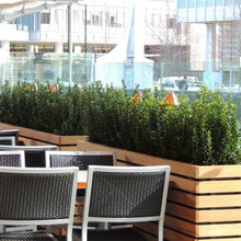 Planters