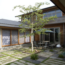 My Home