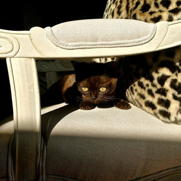 Big cat, little cat & fur cushions