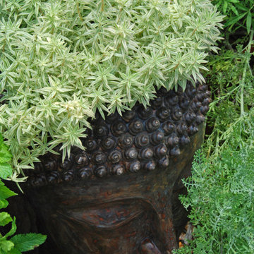 Succulents at Hortus Oasis