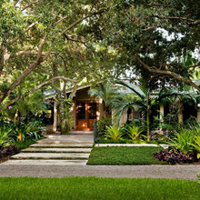 Bromeliads landscape