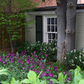 Spring Displays