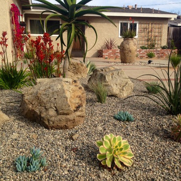 Costa Mesa color/Water conservation,
