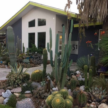 Miscellaneous Cacti & Succulent Landscapes by Rhinamic