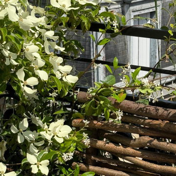 Variations de blancs
