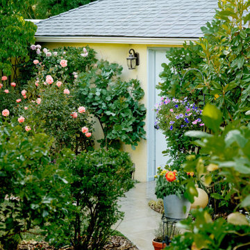Garden Planting with Roses, Petunias, and Seasonal Shrubs