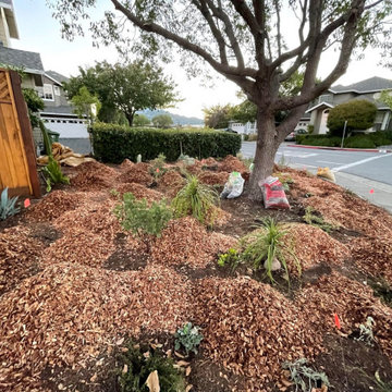 Adding Top Soil + Mulch