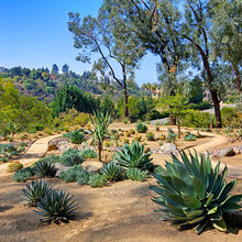 outdoor landscapes