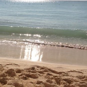 Maria Paraskevopoulos's photo