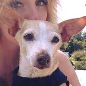 Sara Blackburn's photo