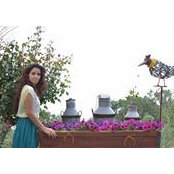 Foto von Dalia Nassar