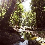 Lin Xin's photo