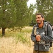 Tomer Member's photo